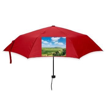 Paysage steppe avec un lac - Parapluie standard - rouge - Devant