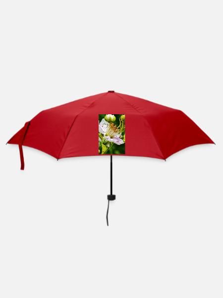Brombeerblüte Botanische Eleganz - Regenschirm (klein) - Rot