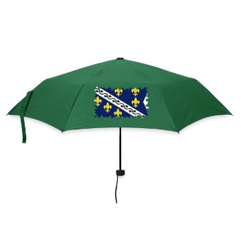 Bosnien in der Herzegowina Europa Sarajavo Flagge Mostar - Regenschirm (klein) - Flaschengrün - Vorne