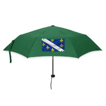 Bosnien in der Herzegowina Europa Sarajavo Flagge Mostar - Regenschirm (klein) - Flaschengrün - Vorne