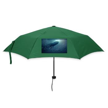Wal und Fisch - Regenschirm (klein) - Flaschengrün - Vorne