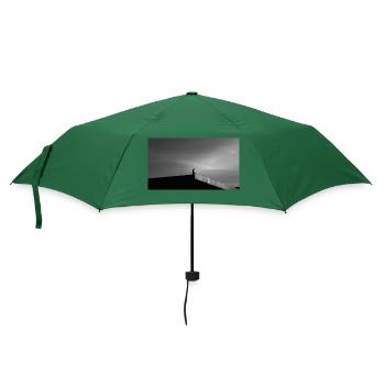 Der Falke auf dem Dach - Regenschirm (klein) - Flaschengrün - Vorne