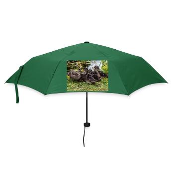 Entchen - Regenschirm (klein) - Flaschengrün - Vorne