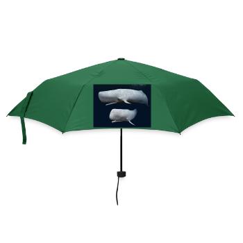 Zwei Pottwale, Wal, Walfisch - Regenschirm (klein) - Flaschengrün - Vorne