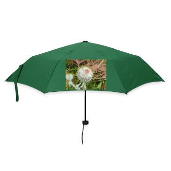 Scotch Baumwolldistel auch Wolldistel - Regenschirm (klein) - Flaschengrün - Vorne