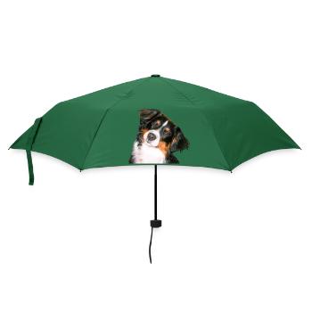 Aussie Nanouk, Kopf - Foto - Regenschirm (klein) - Flaschengrün - Vorne