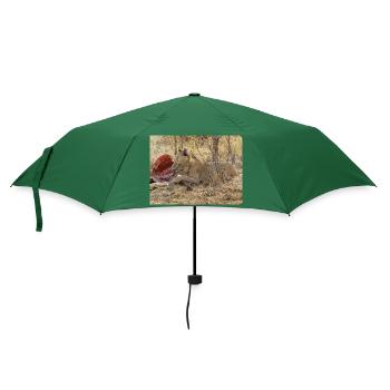 ein Rudel fressender Löwen im Chobe-Nationalpark auf S - Regenschirm (klein) - Flaschengrün - Vorne