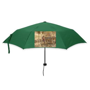 ein Rudel fressender Löwen im Chobe-Nationalpark - Regenschirm (klein) - Flaschengrün - Vorne
