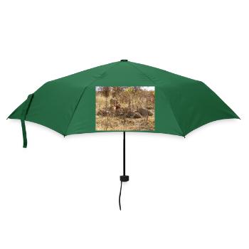 ein Rudel fressender Löwen im Chobe-Nationalpark - Regenschirm (klein) - Flaschengrün - Vorne
