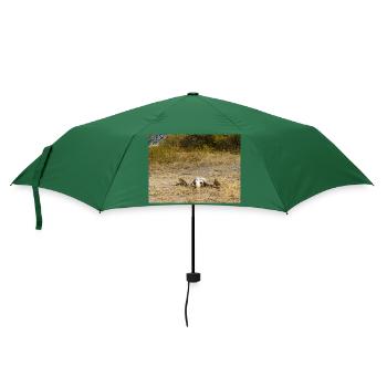 Schädel eines Kapbüffels Landschaft in Namibia - Regenschirm (klein) - Flaschengrün - Vorne