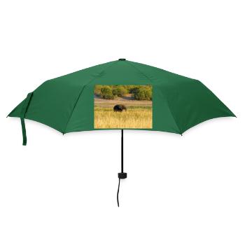 Elefanten in Namibia Afrika - Regenschirm (klein) - Flaschengrün - Vorne