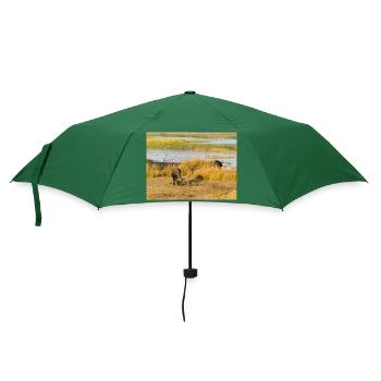 Afrikanische Kapbüffelherde Namibia Afrika - Regenschirm (klein) - Flaschengrün - Vorne