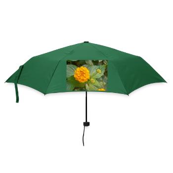 Lantana auch spanische Flagge Wandelröschen Lantana - Regenschirm (klein) - Flaschengrün - Vorne