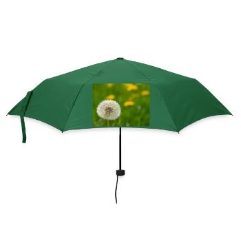 Loewenzahn - Regenschirm (klein) - Flaschengrün - Vorne