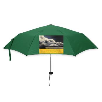 Rabsfeld vor Gewitterwolken - Regenschirm (klein) - Flaschengrün - Vorne