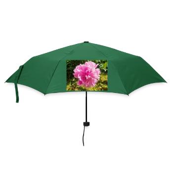 Chinesische Pfingstrose Chinesische Pfingsrose Paeonia - Regenschirm (klein) - Flaschengrün - Vorne