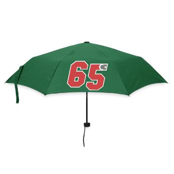 Van - Regenschirm (klein) - Flaschengrün - Vorne
