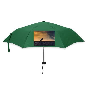 Singende Krähe - Regenschirm (klein) - Flaschengrün - Vorne
