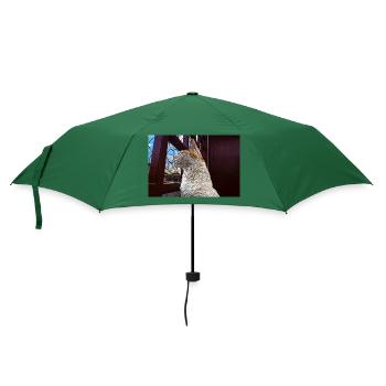 Die Katze - Regenschirm (klein) - Flaschengrün - Vorne