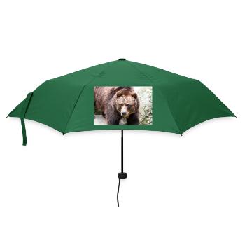 Braunbär Ursus arctos - Regenschirm (klein) - Flaschengrün - Vorne