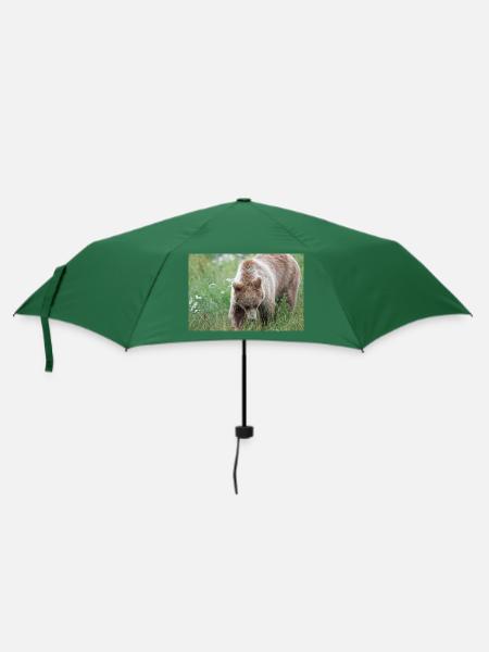 Braunbär Ursus arctos - Regenschirm (klein) - Flaschengrün