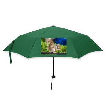 Essen Grauhörnchen Grauhörnchen Sciurus carolin - Regenschirm (klein) - Flaschengrün - Vorne