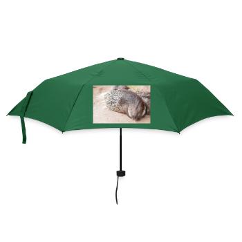 Stachelschwein - Regenschirm (klein) - Flaschengrün - Vorne