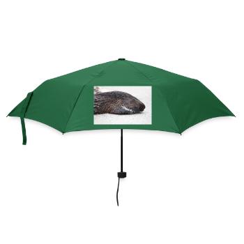 Stachelschwein - Regenschirm (klein) - Flaschengrün - Vorne
