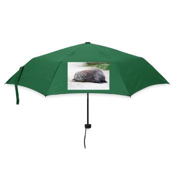 Stachelschwein Hys - Regenschirm (klein) - Flaschengrün - Vorne
