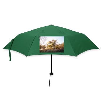 Lesum - Regenschirm (klein) - Flaschengrün - Vorne