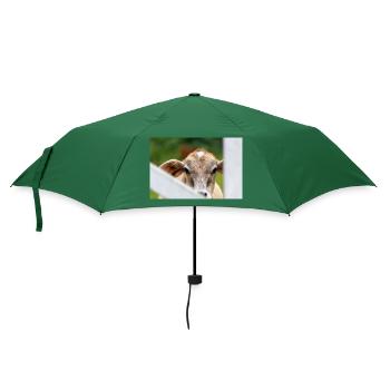 Kleines Kalb mit süßem Aussehen - Regenschirm (klein) - Flaschengrün - Vorne