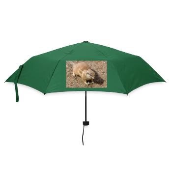 Afrikanisches Ziesel Borstenhörnchen Xerus - Regenschirm (klein) - Flaschengrün - Vorne