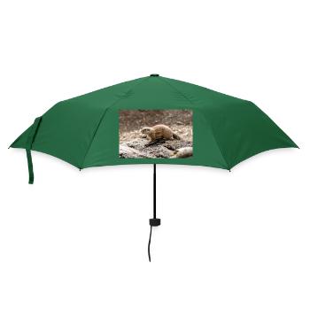 Afrikanisches Ziesel Borstenhörnchen Xerus - Regenschirm (klein) - Flaschengrün - Vorne