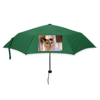 Katze - Regenschirm (klein) - Flaschengrün - Vorne