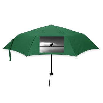 Taube - Regenschirm (klein) - Flaschengrün - Vorne