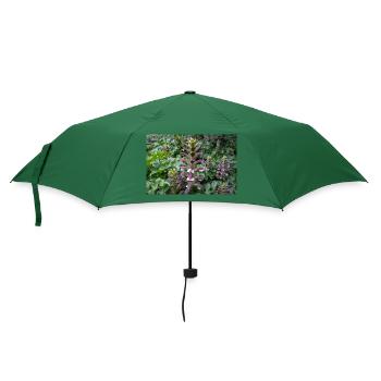 Bären-Steiß Acanthus spinosus - Regenschirm (klein) - Flaschengrün - Vorne