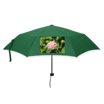 Lantana auch spanische Flagge Wandelröschen - Regenschirm (klein) - Flaschengrün - Vorne