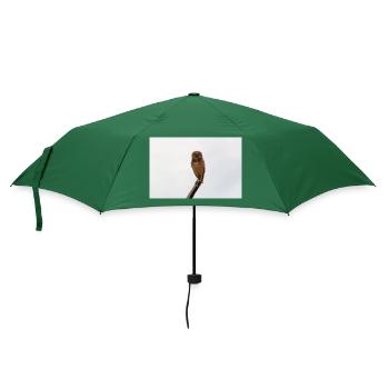 Die Eule - Regenschirm (klein) - Flaschengrün - Vorne
