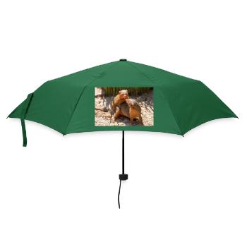 Zwergmangusten Helogale - Regenschirm (klein) - Flaschengrün - Vorne