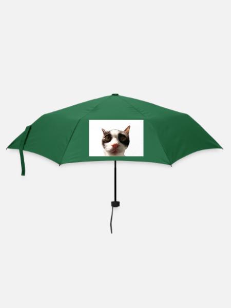 Katze - Regenschirm (klein) - Flaschengrün