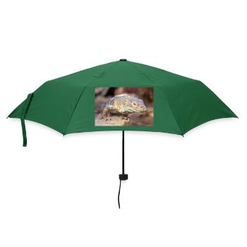 schwarzer Leguan auch schwarzer Ctenosaurier auch schwarz stachelig - Regenschirm (klein) - Flaschengrün - Vorne