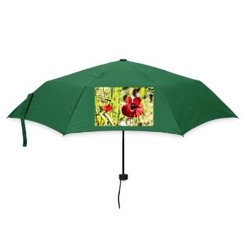 Mohnblumen - Regenschirm (klein) - Flaschengrün - Vorne