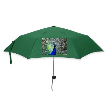 Pfau - Regenschirm (klein) - Flaschengrün - Vorne