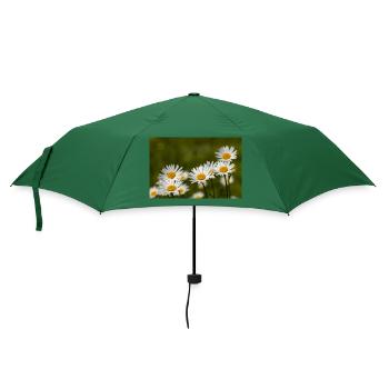 Margeriten - Regenschirm (klein) - Flaschengrün - Vorne