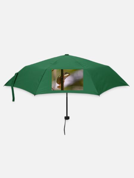 Laubfrosch - Regenschirm (klein) - Flaschengrün