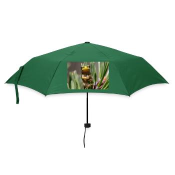 Laubfrosch - Regenschirm (klein) - Flaschengrün - Vorne