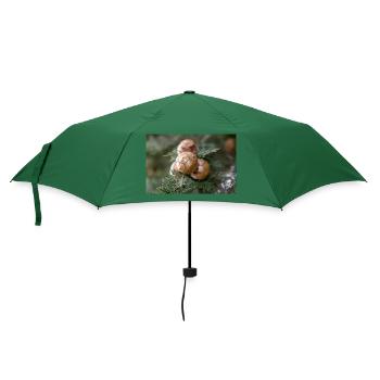 Italienische Zypresse auch Mittelmeerzypresse - Regenschirm (klein) - Flaschengrün - Vorne