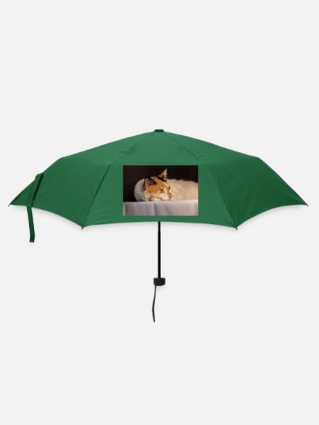 Die Katze - Regenschirm (klein) - Flaschengrün