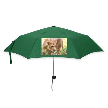 Löwin Löwin Panthera leo - Regenschirm (klein) - Flaschengrün - Vorne