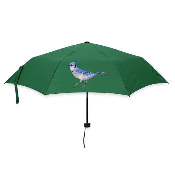 Vogel ~ der blaue Eichelhäher - Regenschirm (klein) - Flaschengrün - Vorne